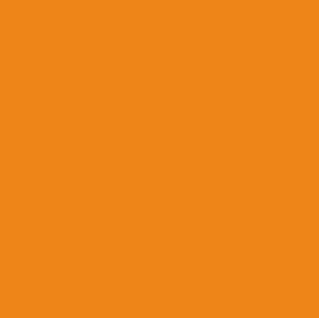 PVC (100% Polyester) + 8204 Orange