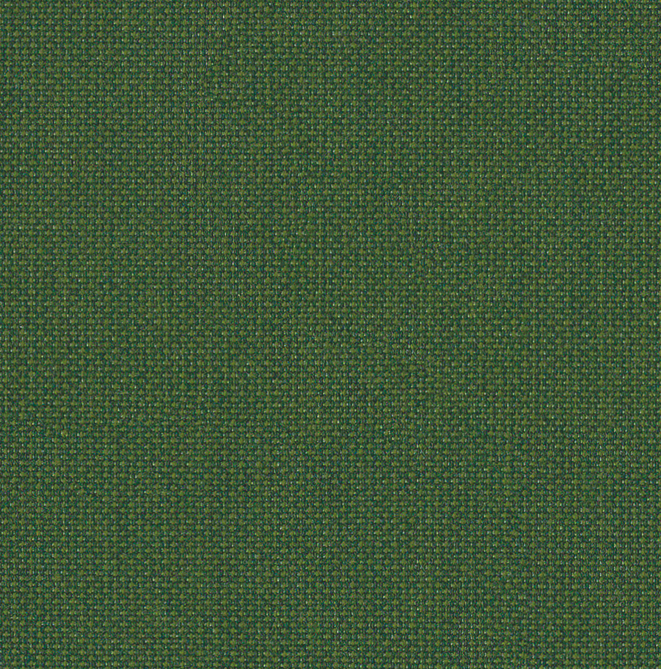 Kategorie 2 + C476 calathea