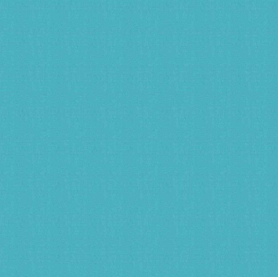 Kategorie 2 + C484 cyan